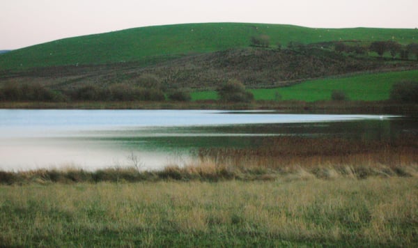 Belston Loch Fishery https://www.facebook.com/share/15fMwLpYDF/?mibextid=wwXIfr